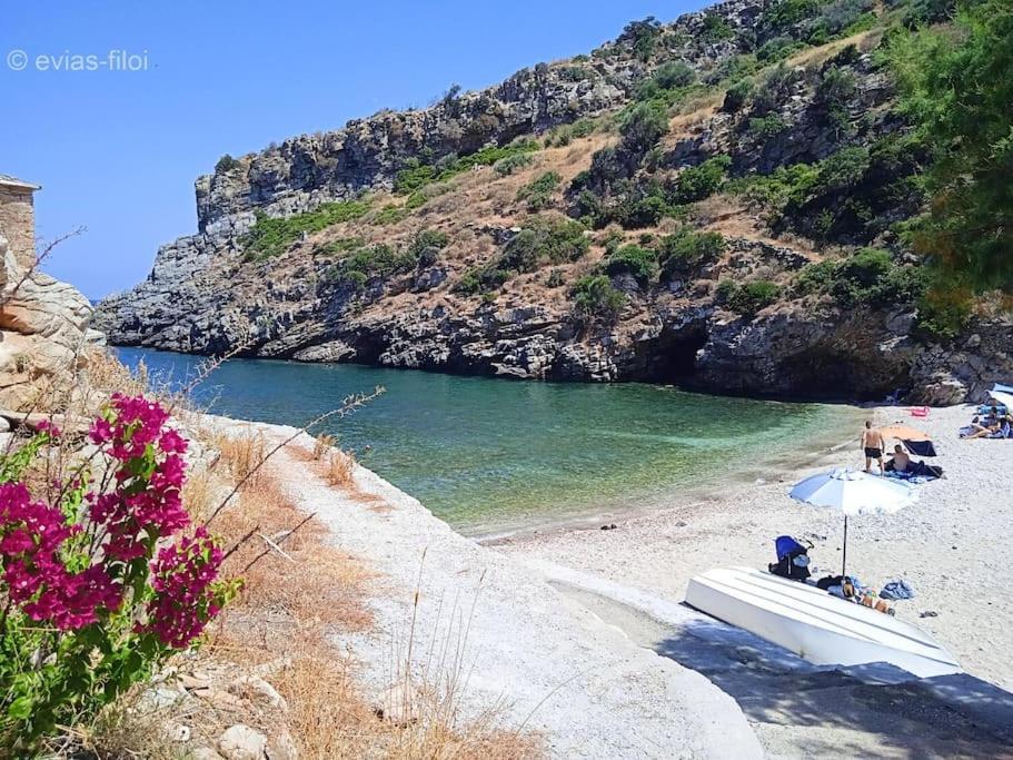 Παραθαλασσιο Σπιτι Στην Εξοχη Villa Tsakei Ngoại thất bức ảnh
