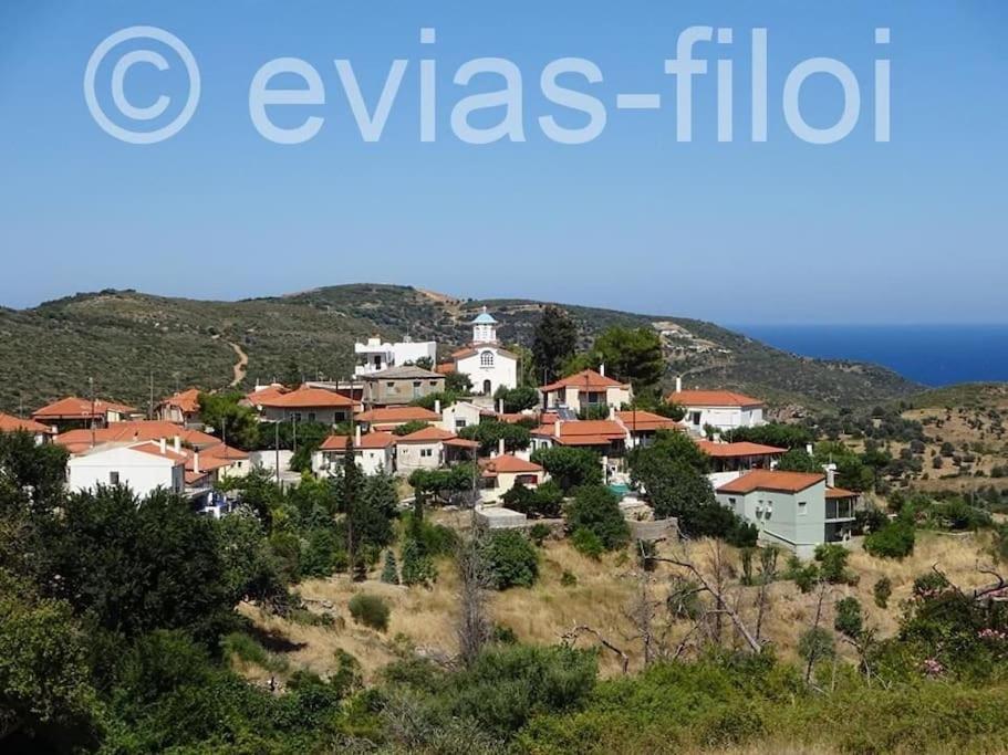 Παραθαλασσιο Σπιτι Στην Εξοχη Villa Tsakei Ngoại thất bức ảnh